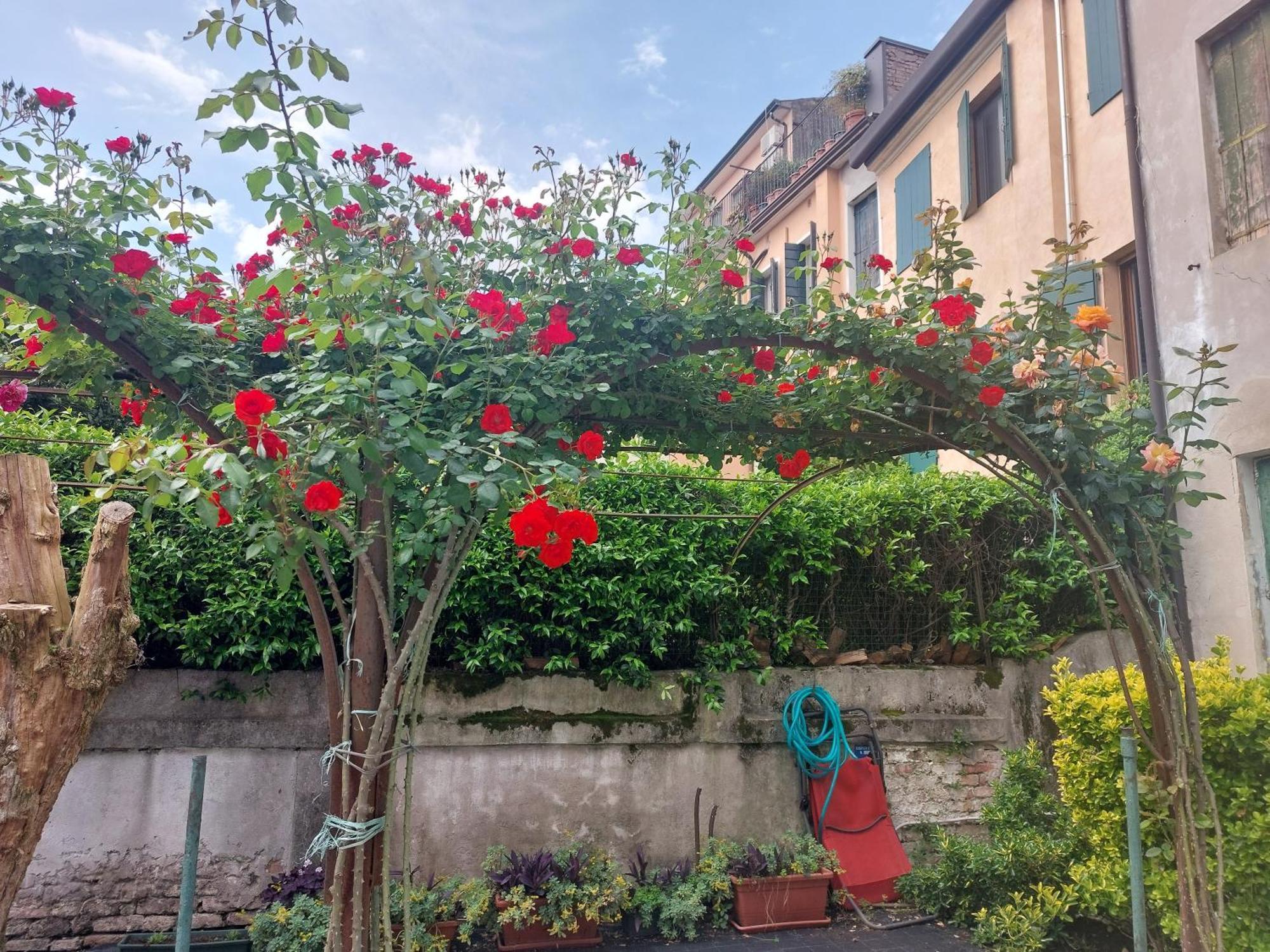 파도바 Elena Casa Turistica 아파트 외부 사진